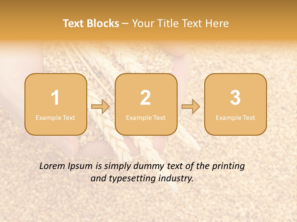 Agricultural Ears Harvest PowerPoint Template