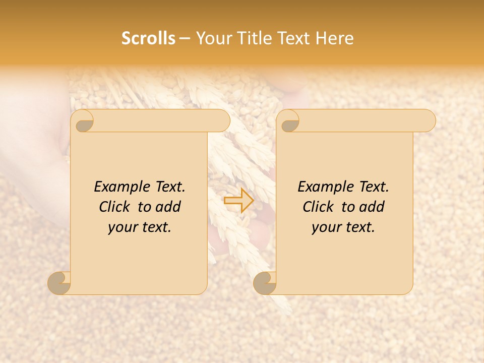 Agricultural Ears Harvest PowerPoint Template