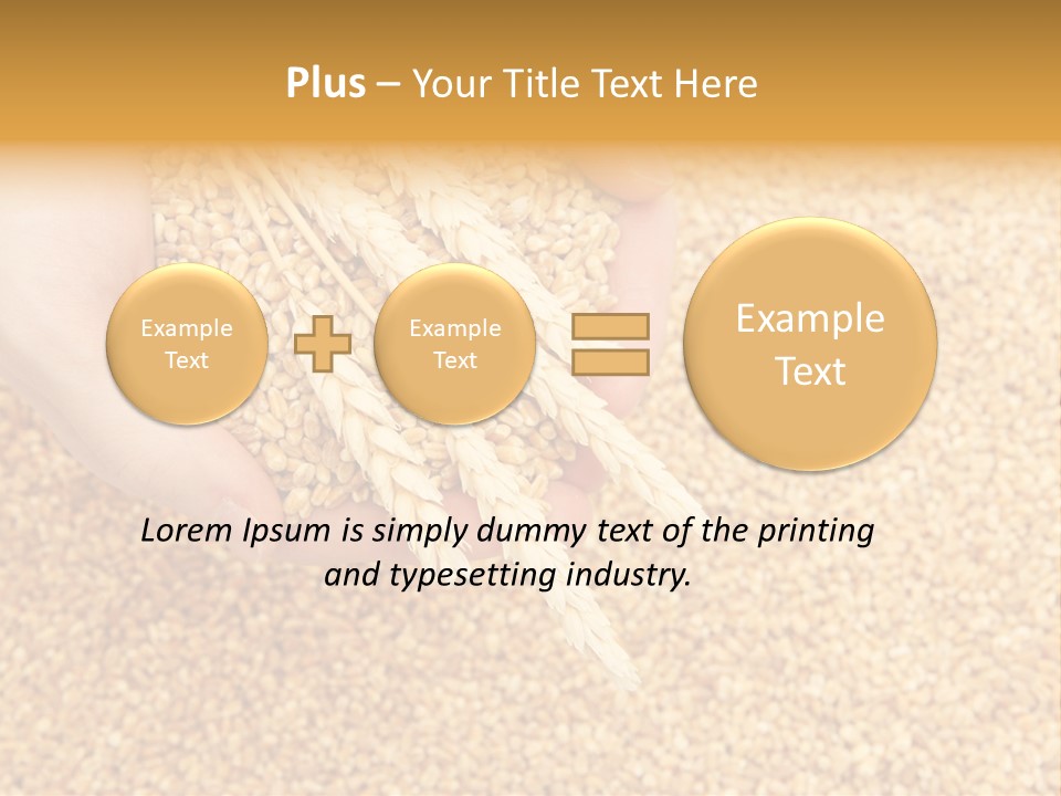 Agricultural Ears Harvest PowerPoint Template