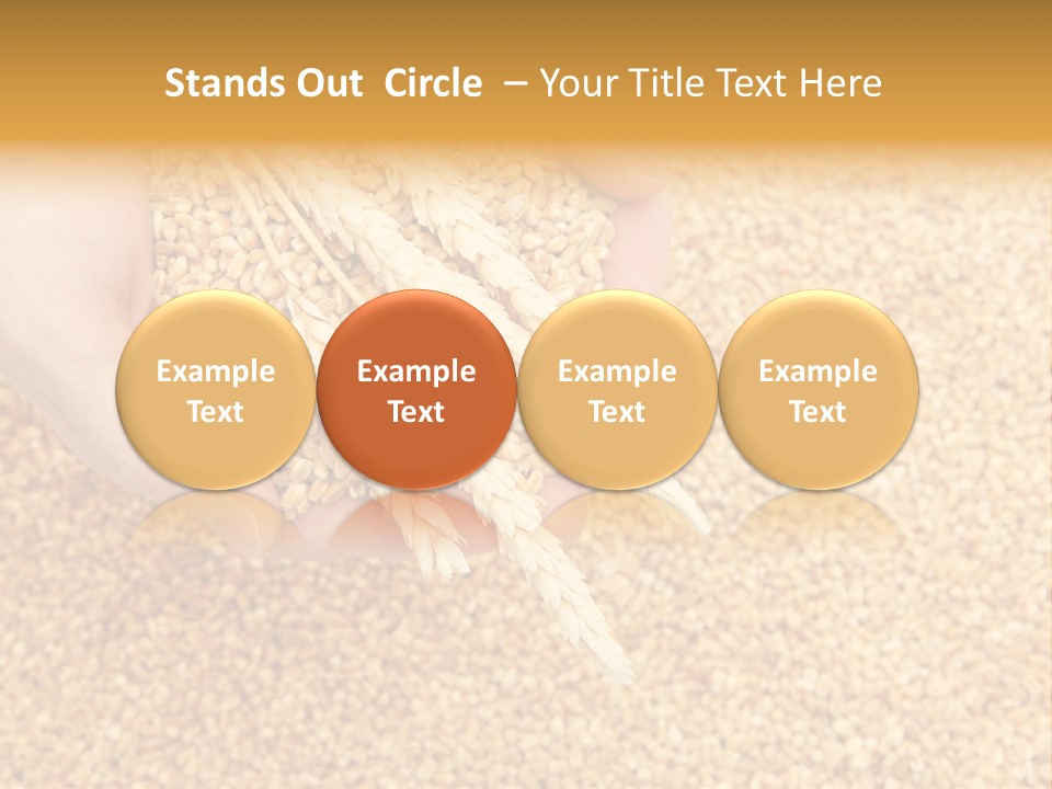 Agricultural Ears Harvest PowerPoint Template