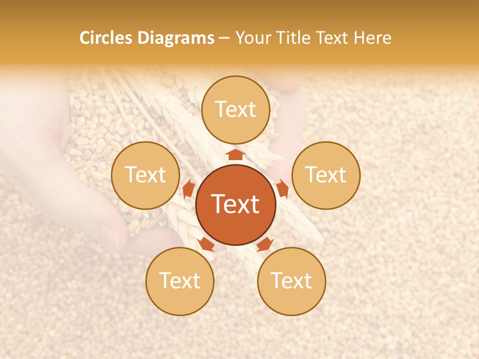 Agricultural Ears Harvest PowerPoint Template