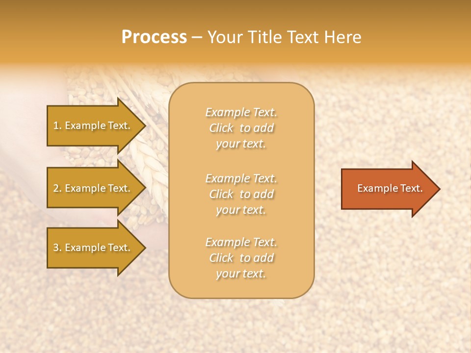 Agricultural Ears Harvest PowerPoint Template