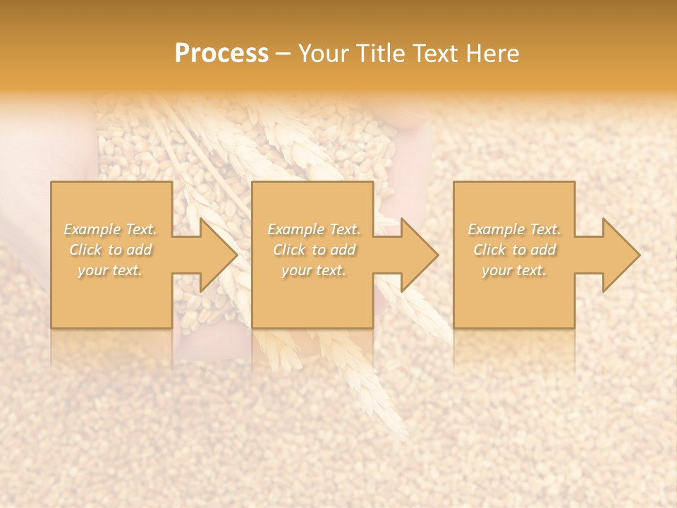 Agricultural Ears Harvest PowerPoint Template