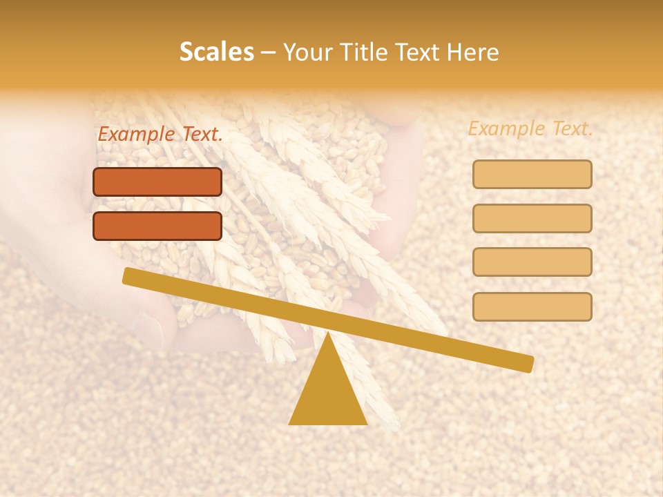 Agricultural Ears Harvest PowerPoint Template
