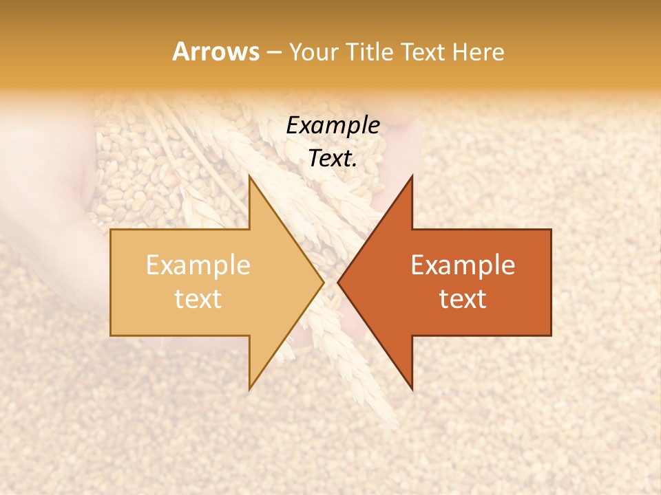 Agricultural Ears Harvest PowerPoint Template