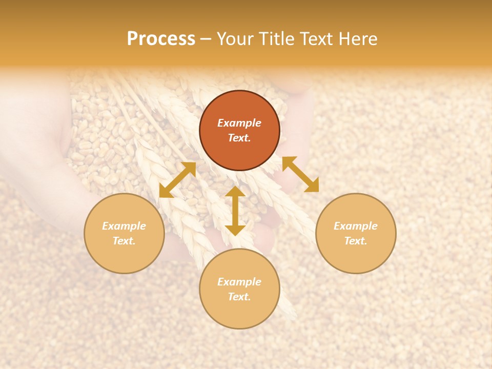 Agricultural Ears Harvest PowerPoint Template