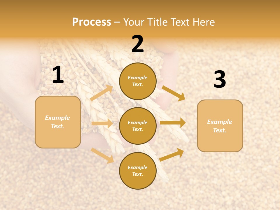 Agricultural Ears Harvest PowerPoint Template