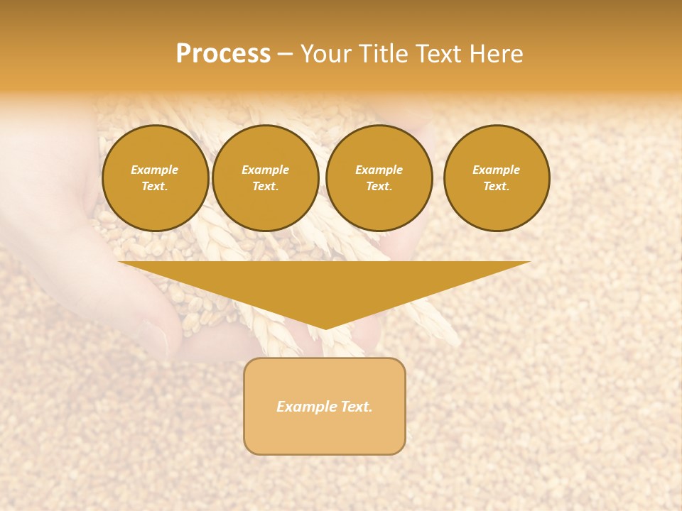 Agricultural Ears Harvest PowerPoint Template