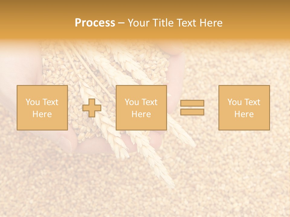 Agricultural Ears Harvest PowerPoint Template