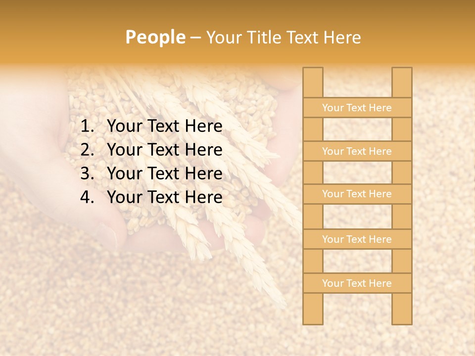 Agricultural Ears Harvest PowerPoint Template