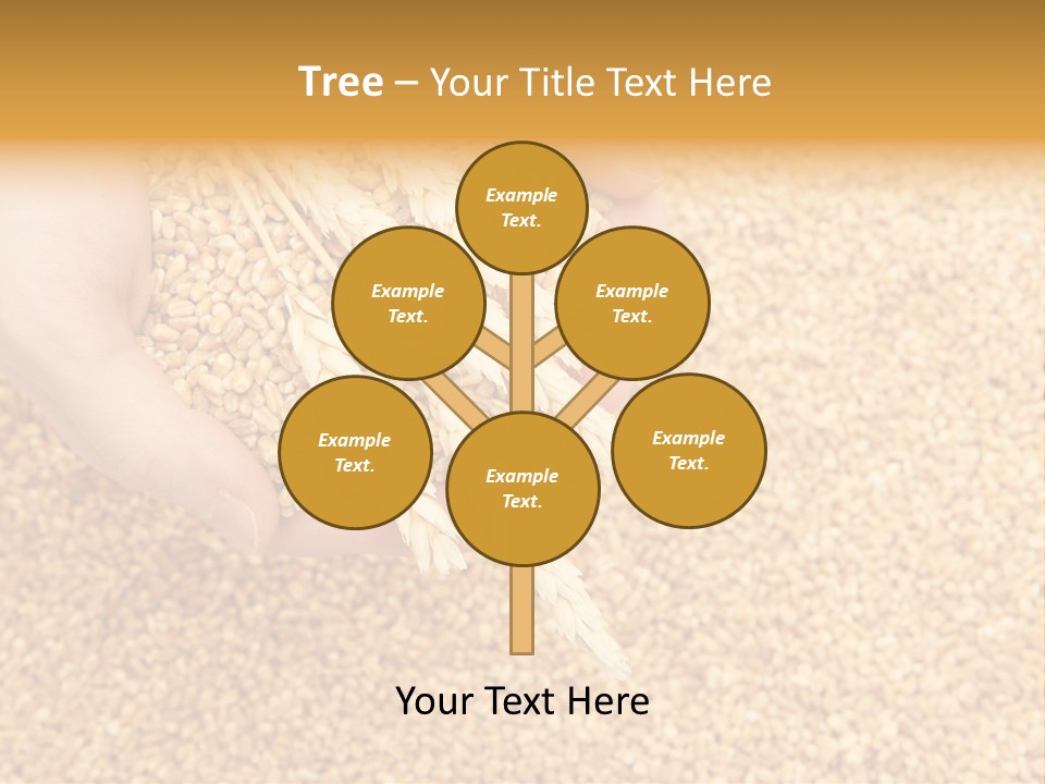 Agricultural Ears Harvest PowerPoint Template