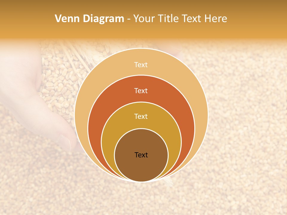 Agricultural Ears Harvest PowerPoint Template