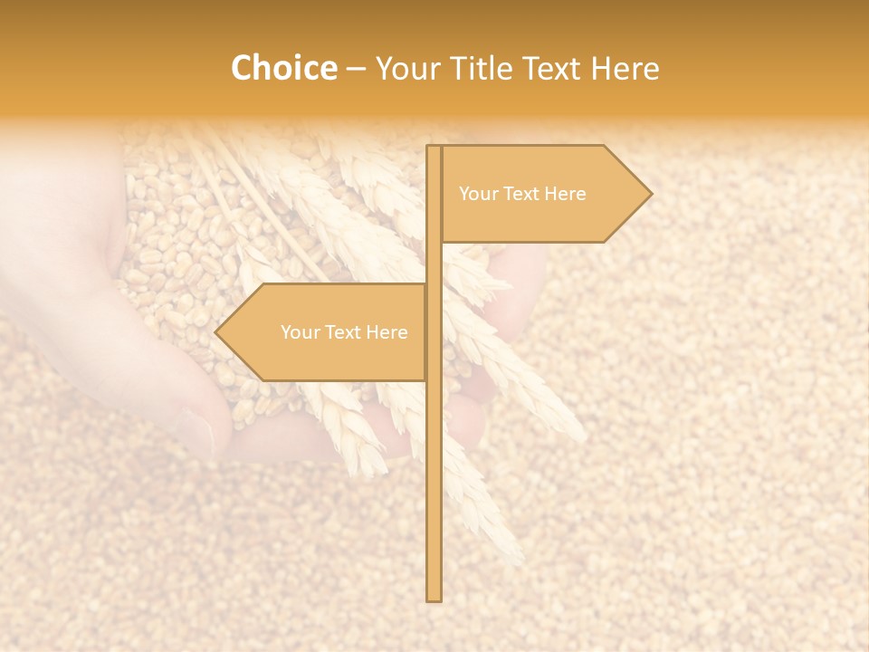 Agricultural Ears Harvest PowerPoint Template