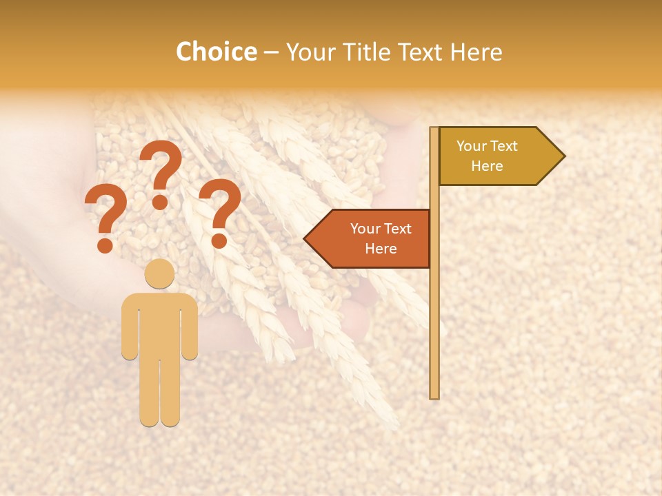 Agricultural Ears Harvest PowerPoint Template