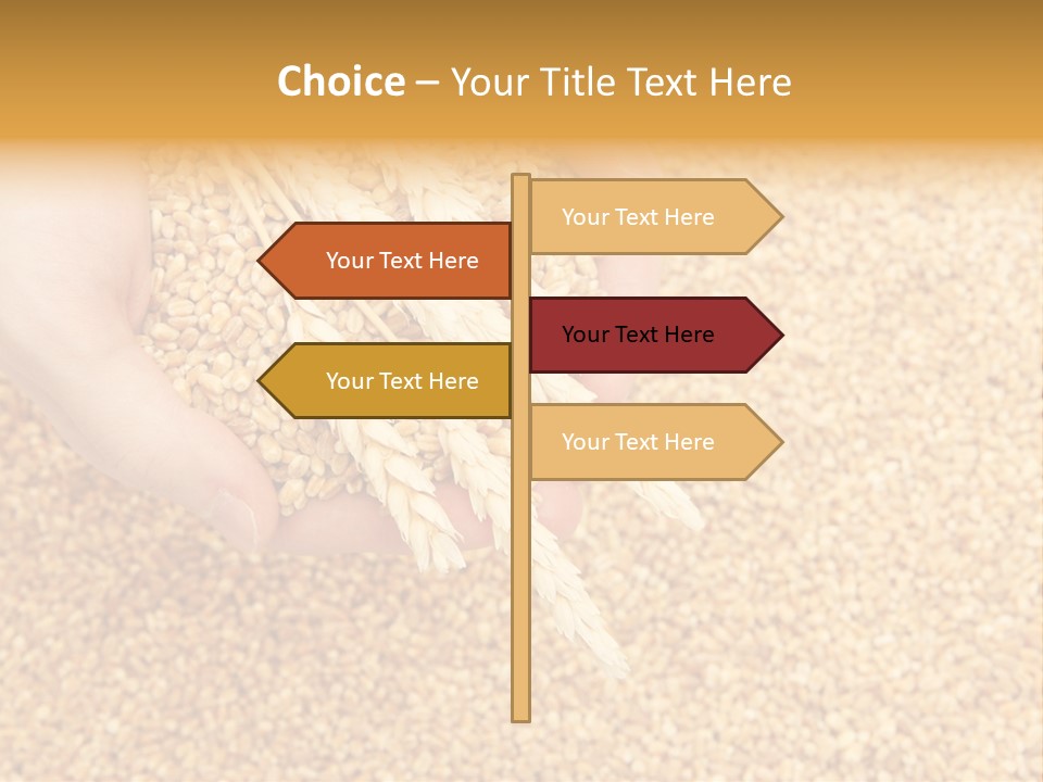 Agricultural Ears Harvest PowerPoint Template
