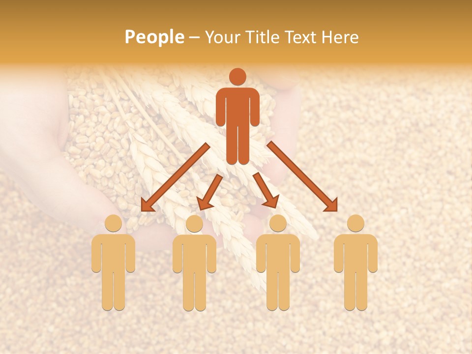 Agricultural Ears Harvest PowerPoint Template