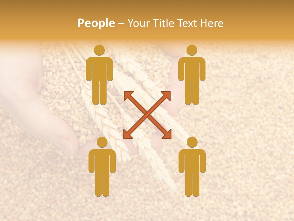 Agricultural Ears Harvest PowerPoint Template