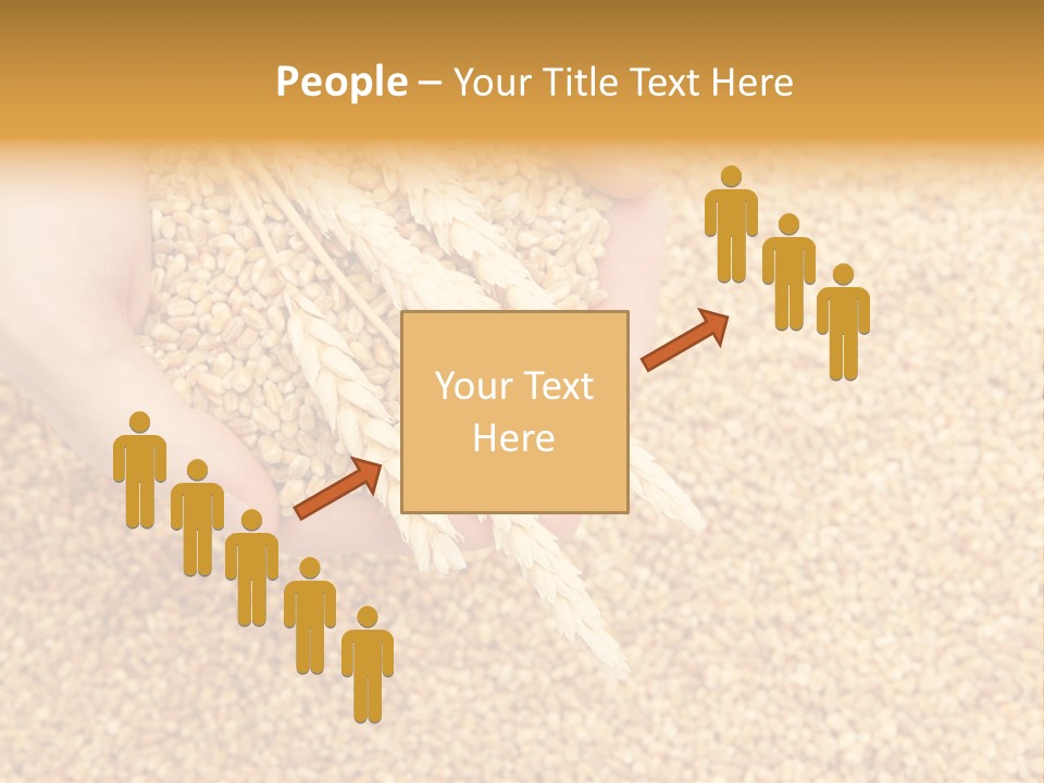 Agricultural Ears Harvest PowerPoint Template