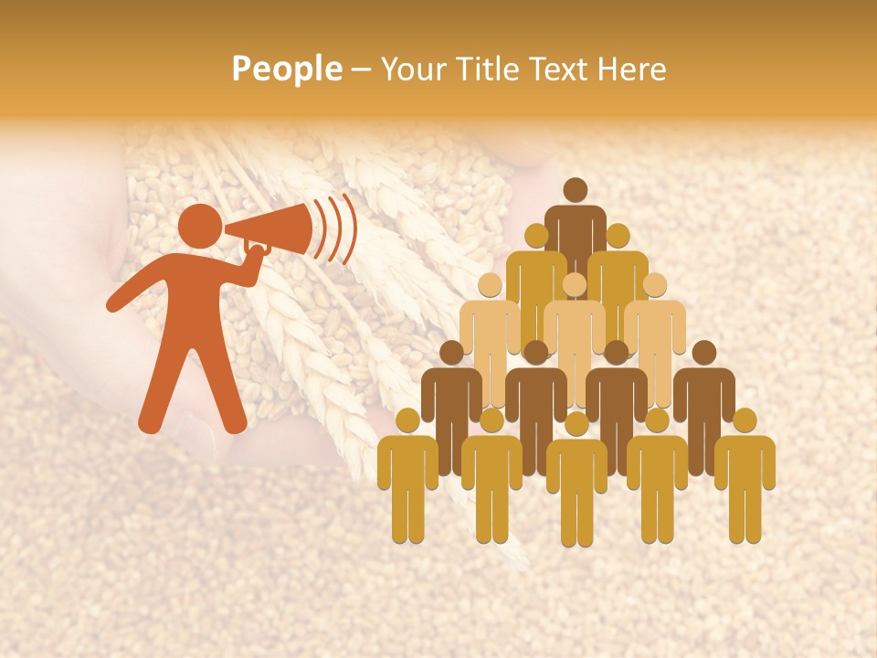 Agricultural Ears Harvest PowerPoint Template