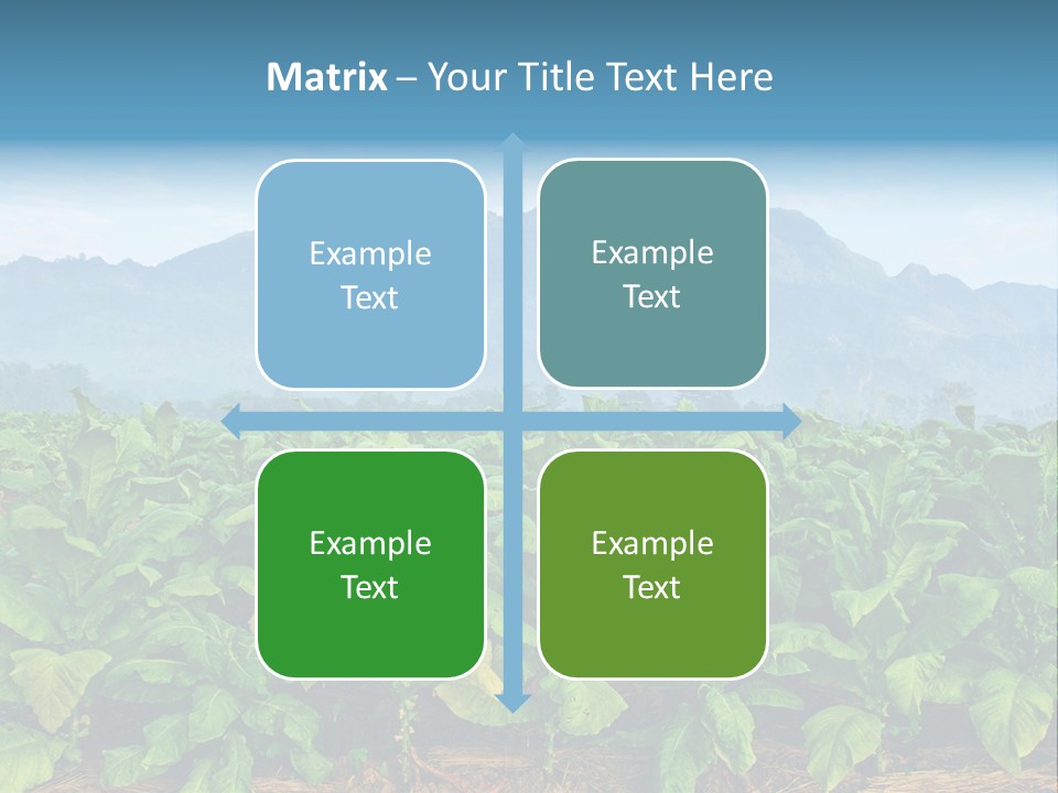 Cool Fresh Transparent PowerPoint Template