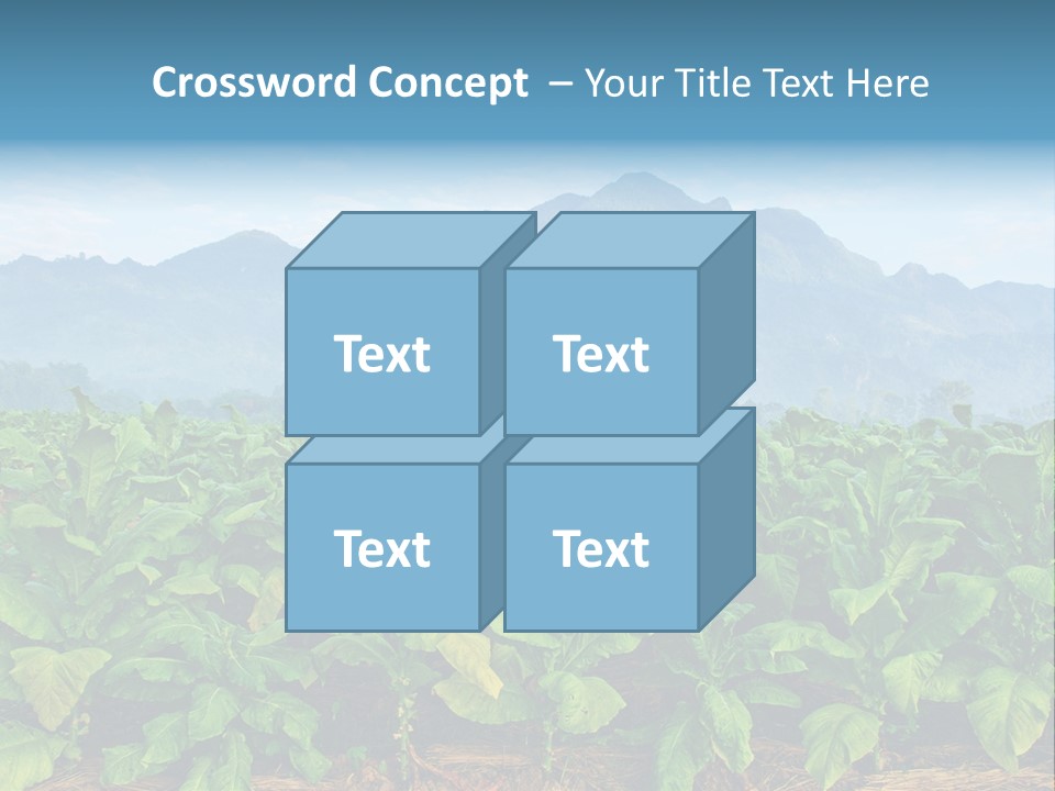 Cool Fresh Transparent PowerPoint Template