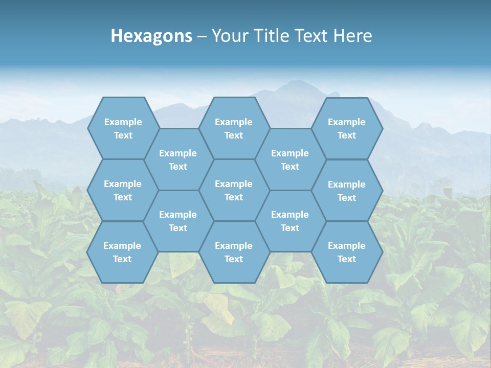 Cool Fresh Transparent PowerPoint Template
