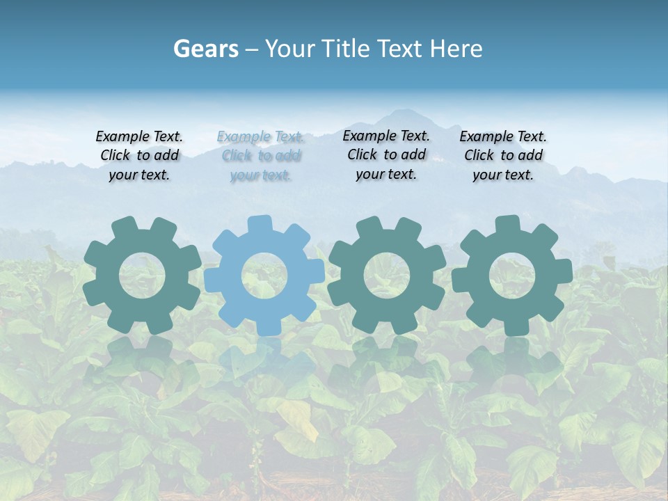 Cool Fresh Transparent PowerPoint Template