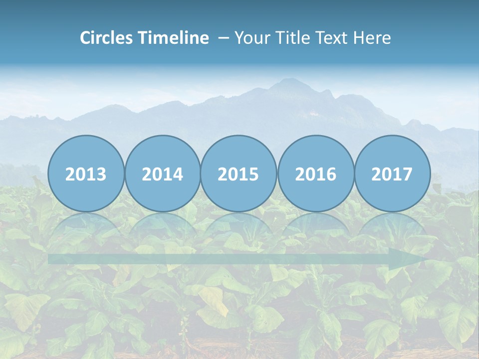Cool Fresh Transparent PowerPoint Template