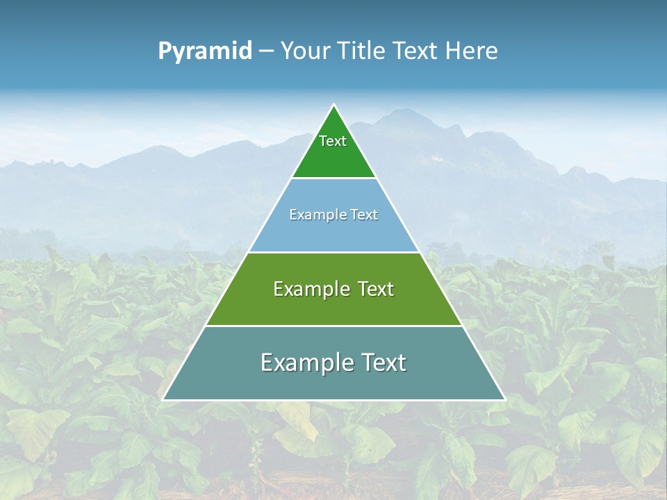 Cool Fresh Transparent PowerPoint Template