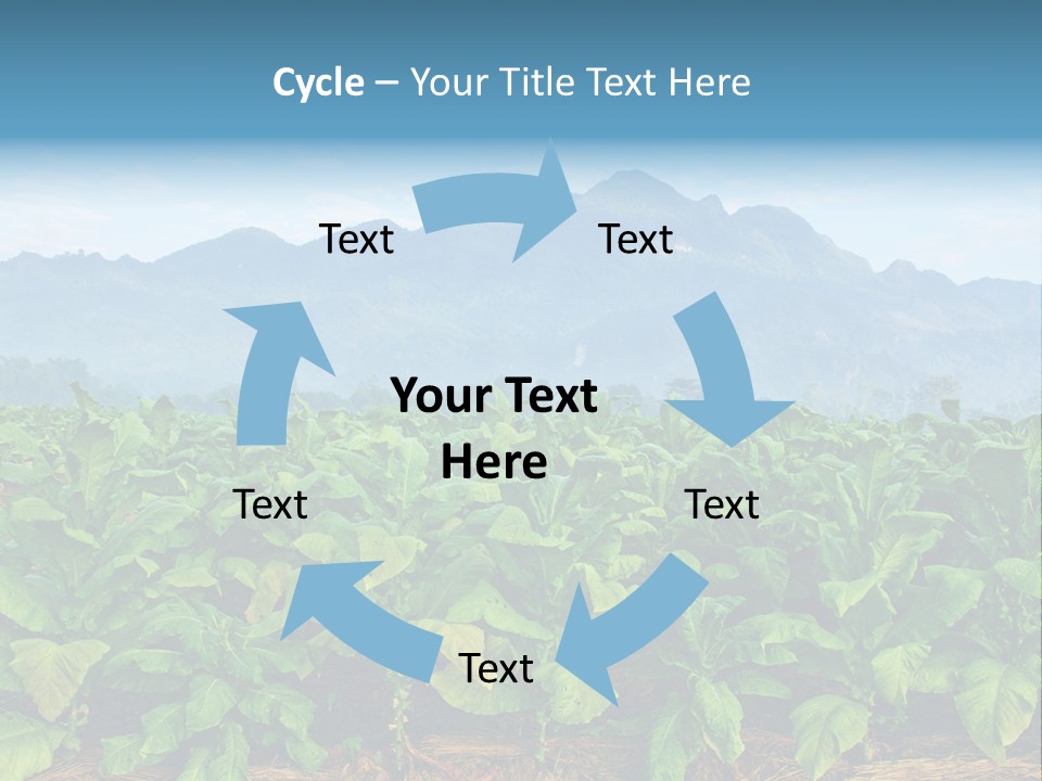 Cool Fresh Transparent PowerPoint Template