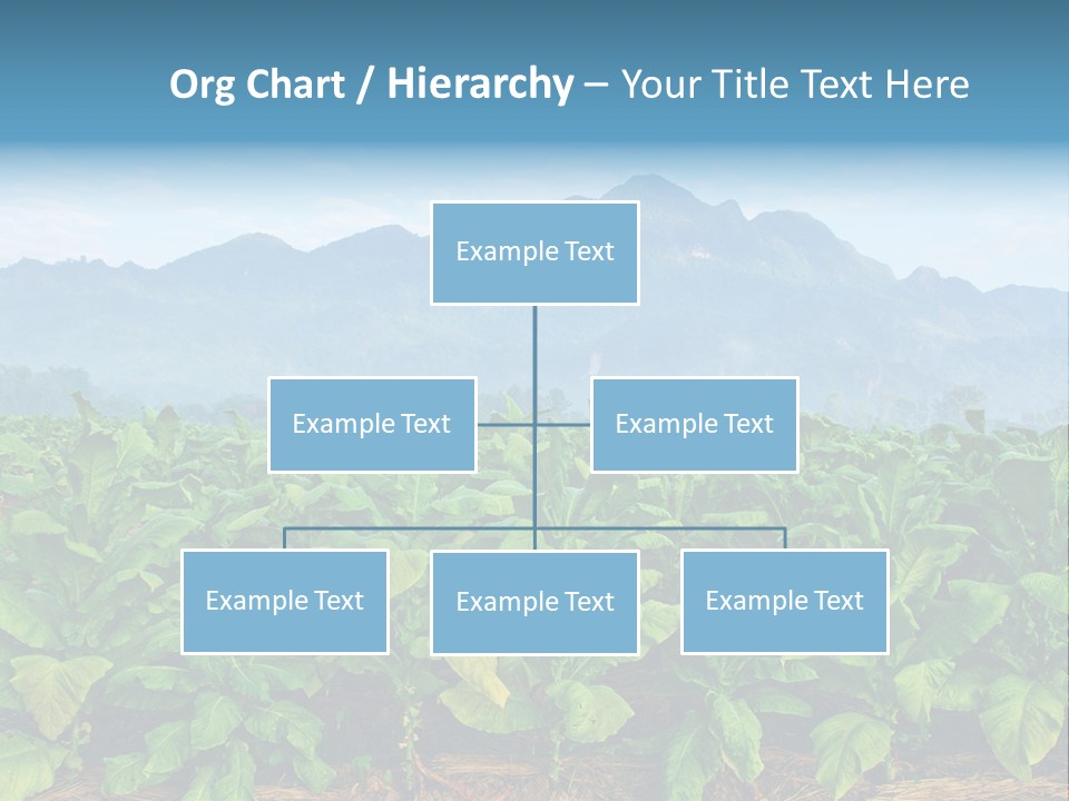Cool Fresh Transparent PowerPoint Template