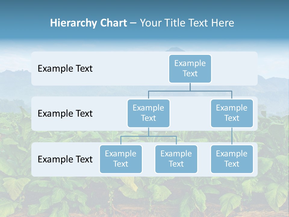 Cool Fresh Transparent PowerPoint Template