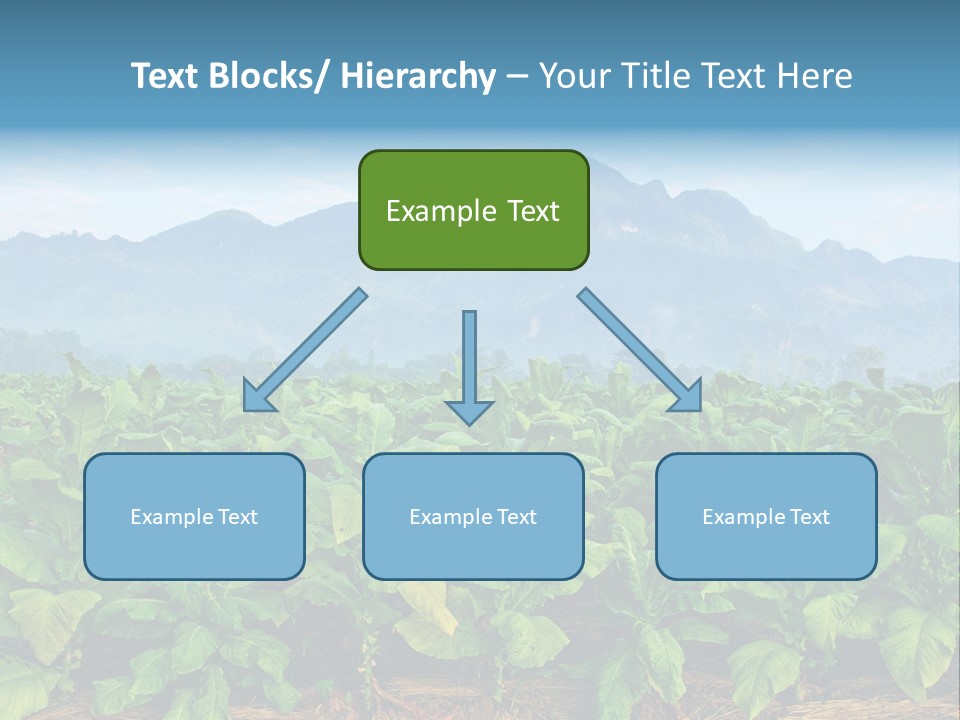 Cool Fresh Transparent PowerPoint Template
