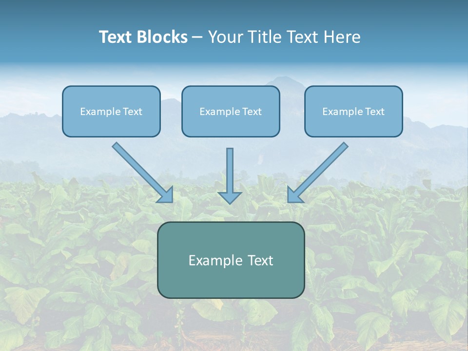 Cool Fresh Transparent PowerPoint Template
