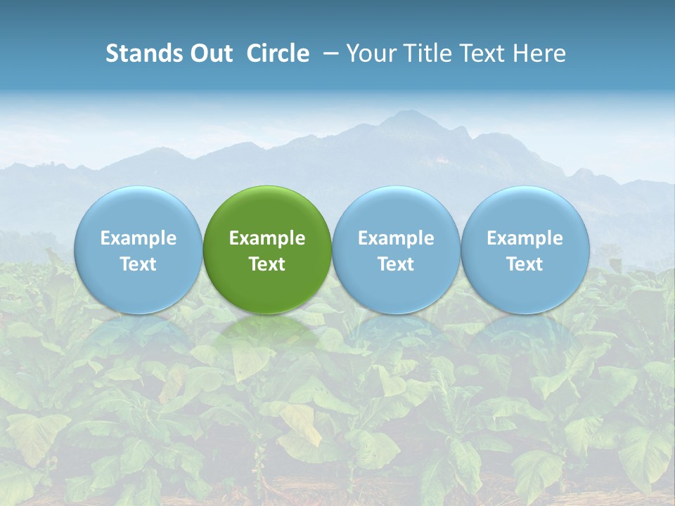 Cool Fresh Transparent PowerPoint Template