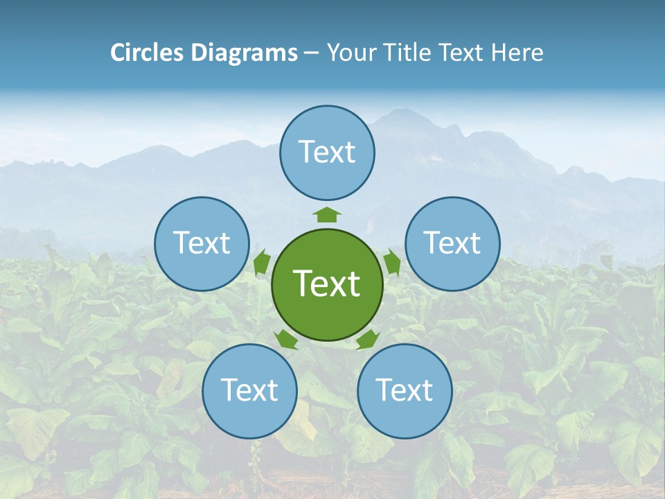 Cool Fresh Transparent PowerPoint Template