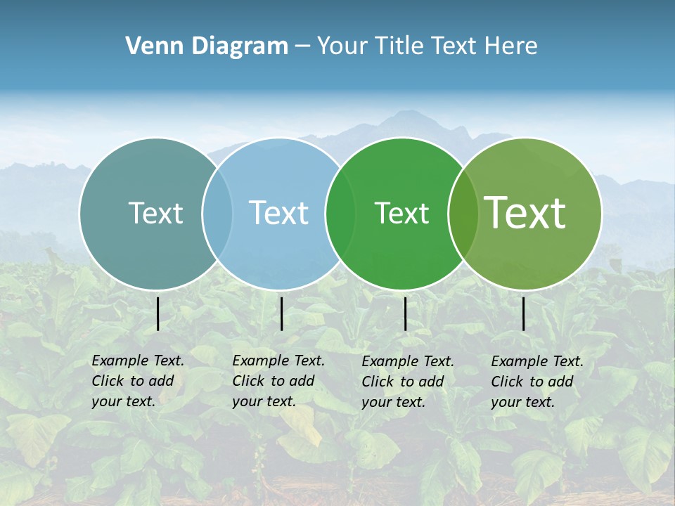 Cool Fresh Transparent PowerPoint Template