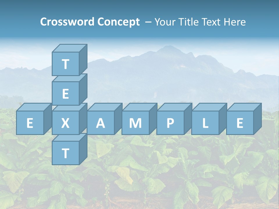 Cool Fresh Transparent PowerPoint Template