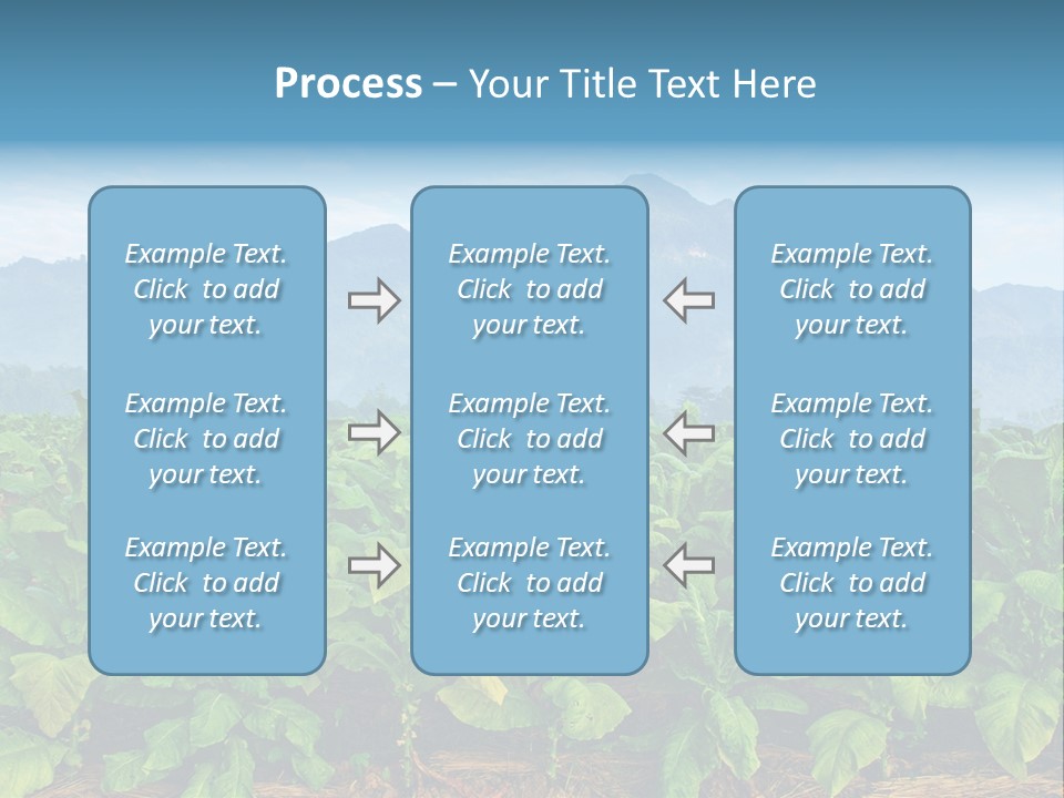 Cool Fresh Transparent PowerPoint Template