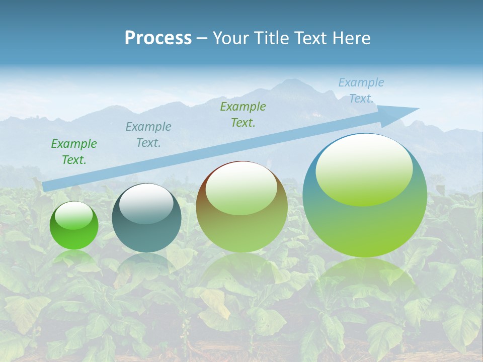 Cool Fresh Transparent PowerPoint Template