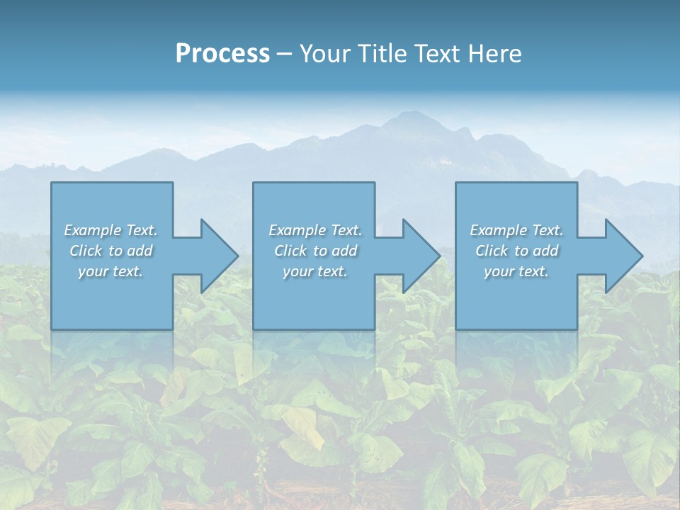 Cool Fresh Transparent PowerPoint Template