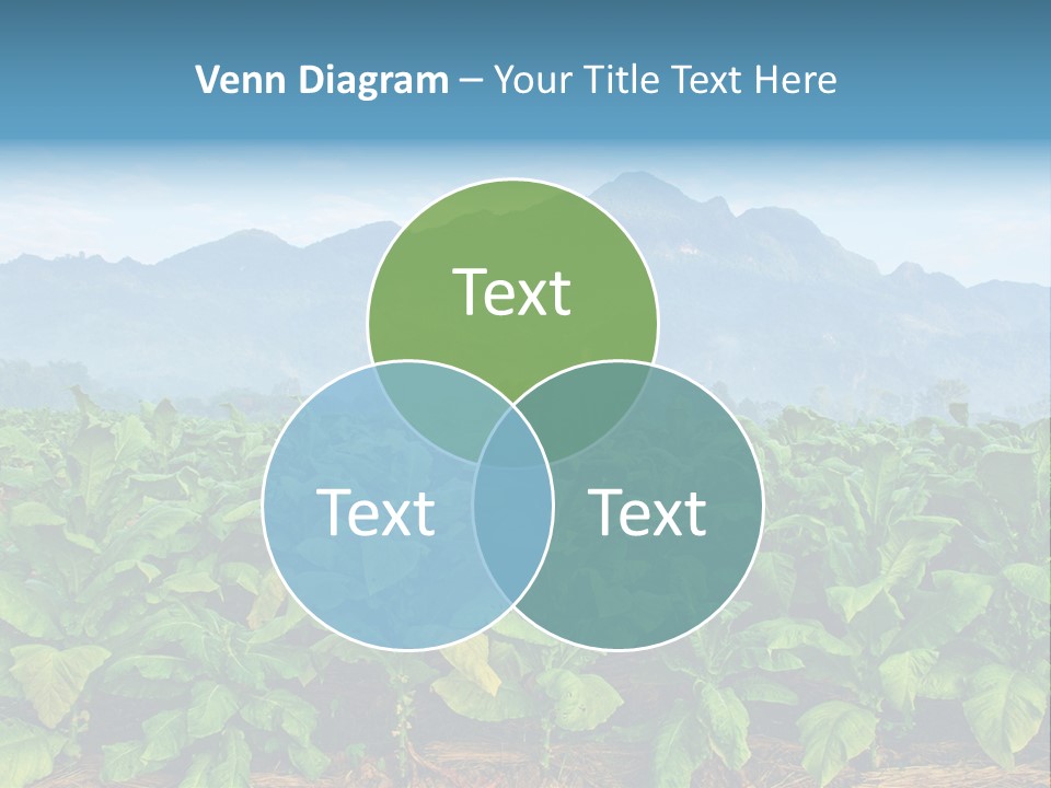 Cool Fresh Transparent PowerPoint Template