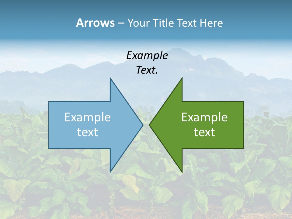 Cool Fresh Transparent PowerPoint Template