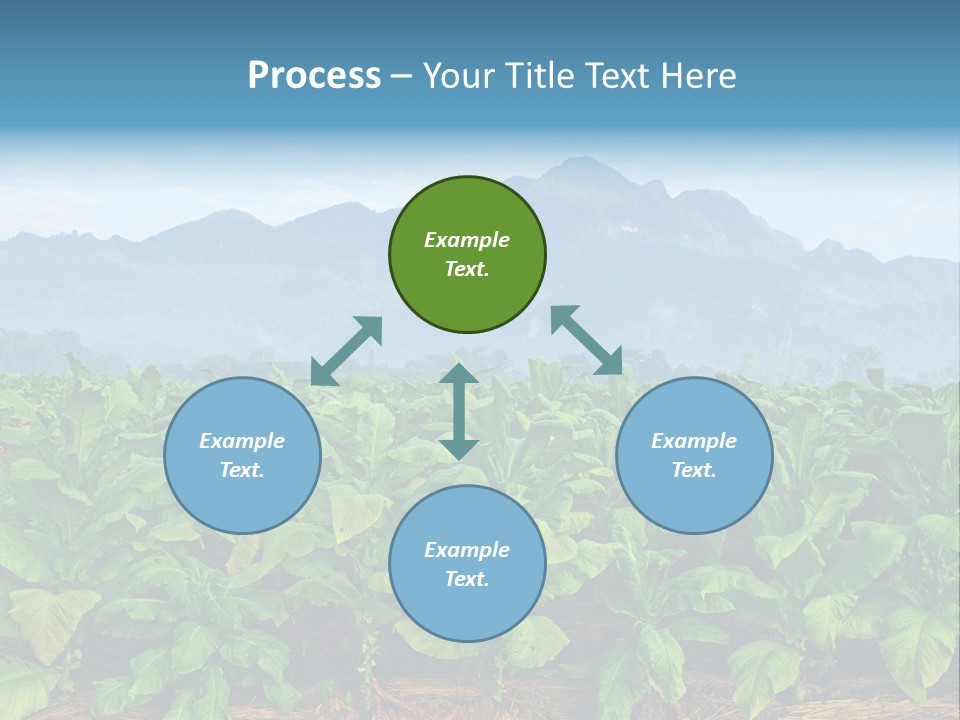Cool Fresh Transparent PowerPoint Template