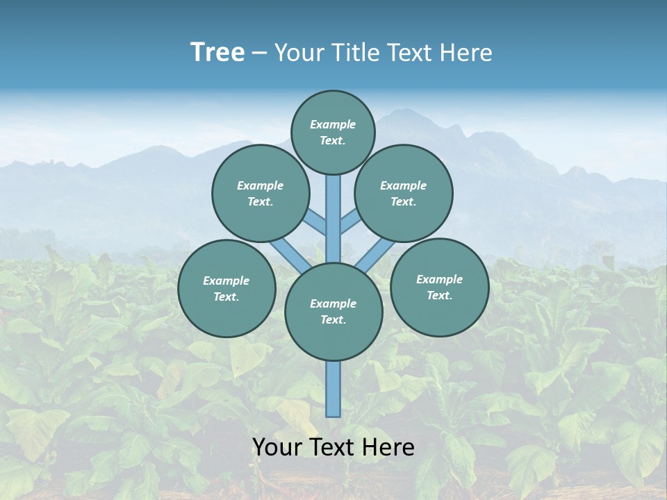 Cool Fresh Transparent PowerPoint Template