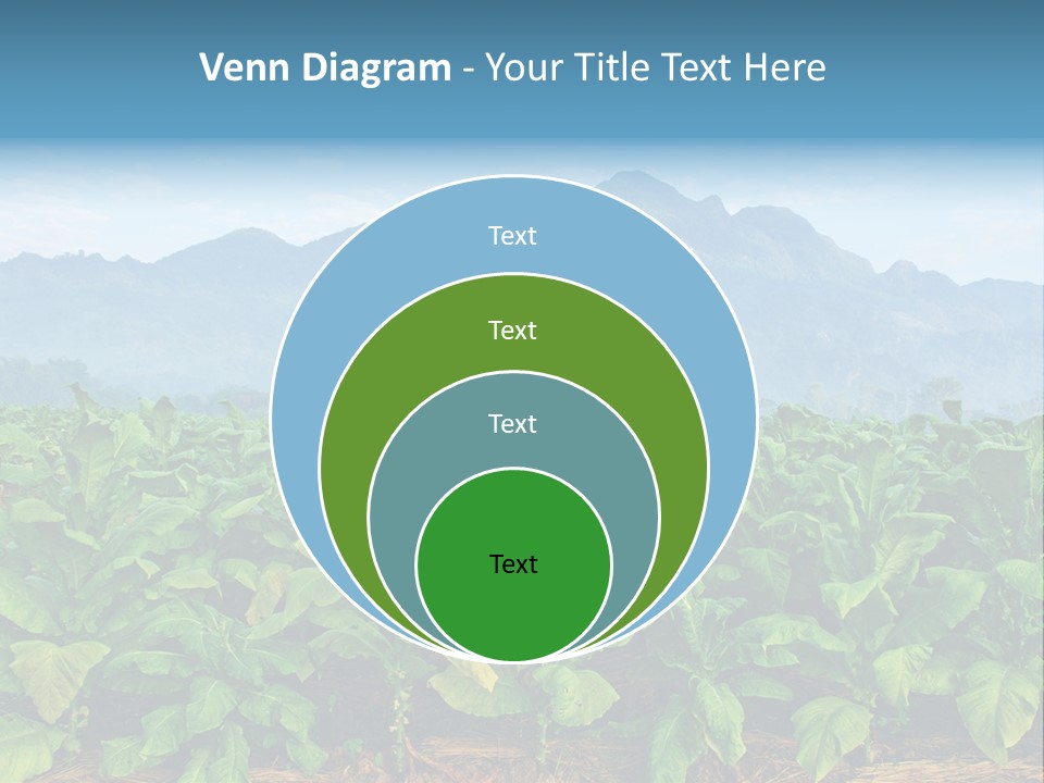 Cool Fresh Transparent PowerPoint Template