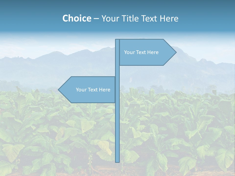 Cool Fresh Transparent PowerPoint Template