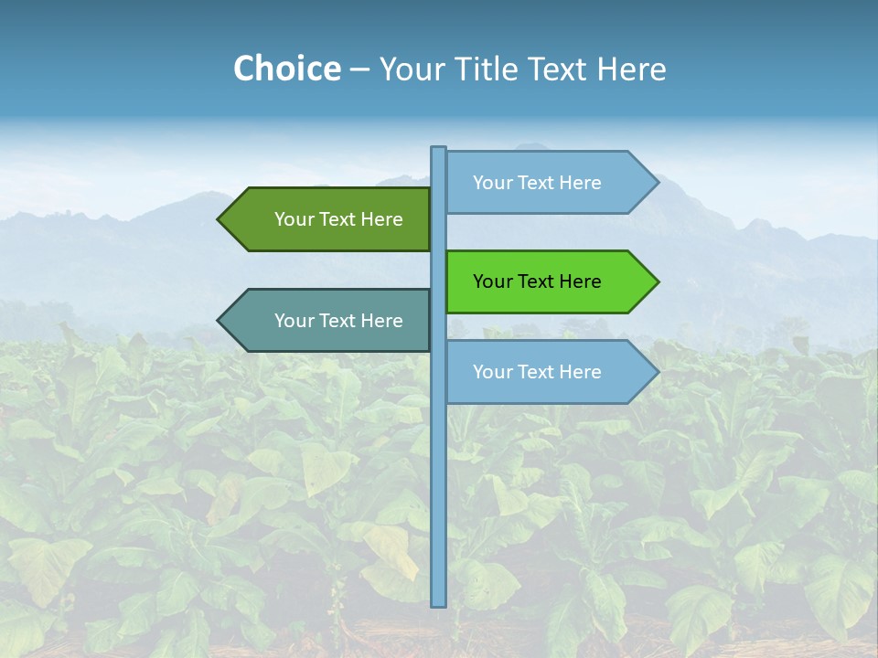 Cool Fresh Transparent PowerPoint Template