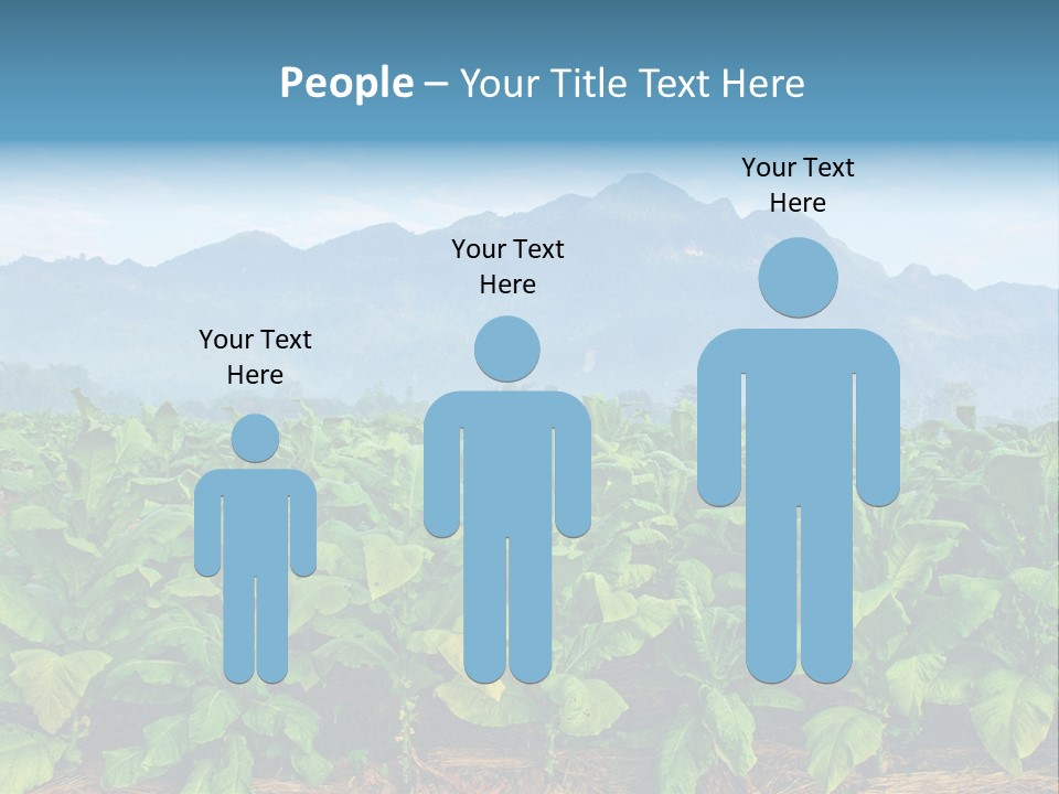 Cool Fresh Transparent PowerPoint Template