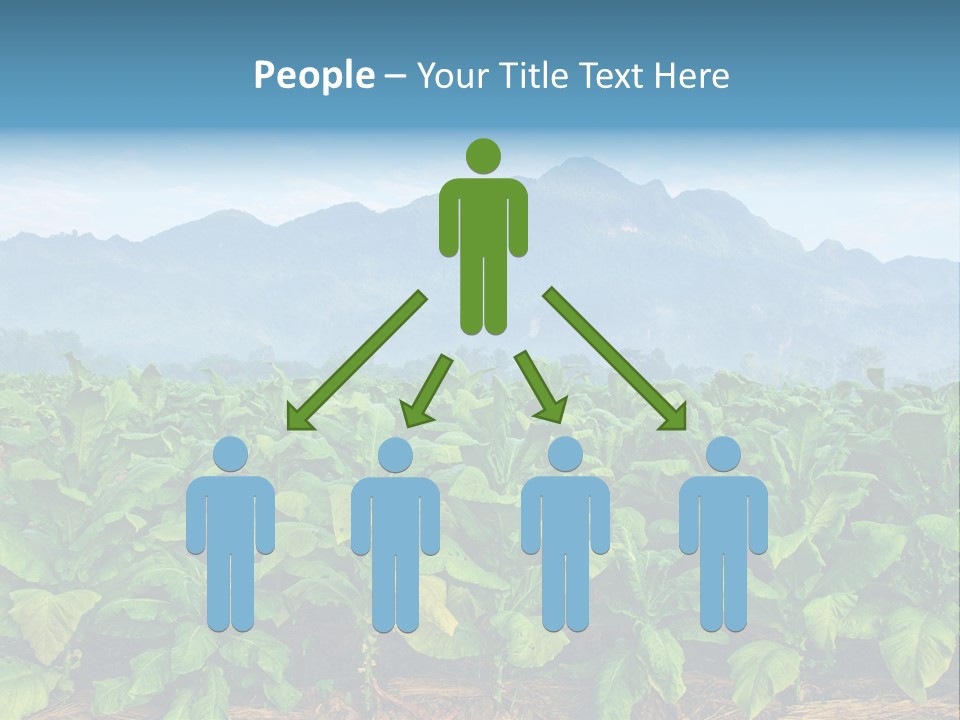 Cool Fresh Transparent PowerPoint Template